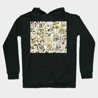 New Zealand Biology Hoodie